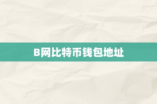 B网比特币钱包地址