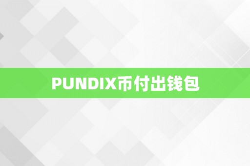 PUNDIX币付出钱包