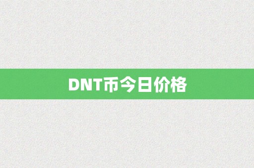 DNT币今日价格