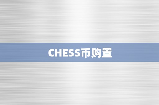 CHESS币购置