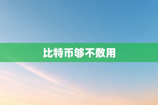 比特币够不敷用