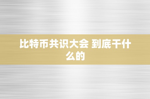 比特币共识大会 到底干什么的