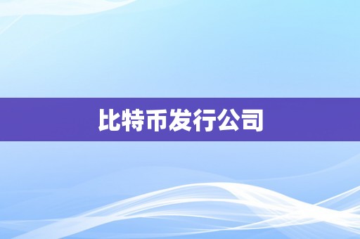 比特币发行公司