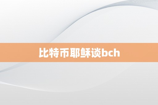 比特币耶稣谈bch