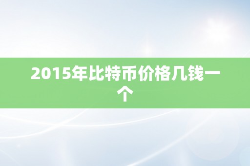 2015年比特币价格几钱一个