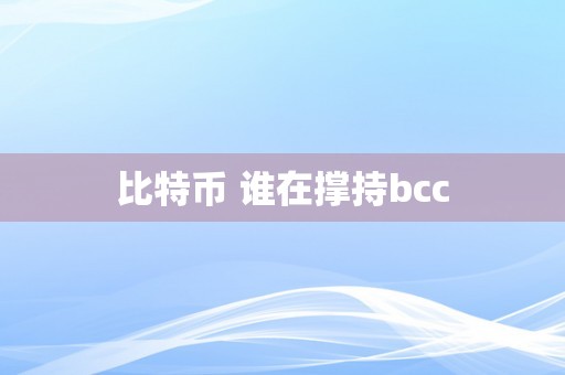 比特币 谁在撑持bcc