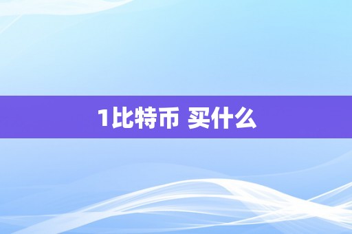 1比特币 买什么