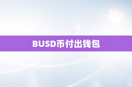 BUSD币付出钱包