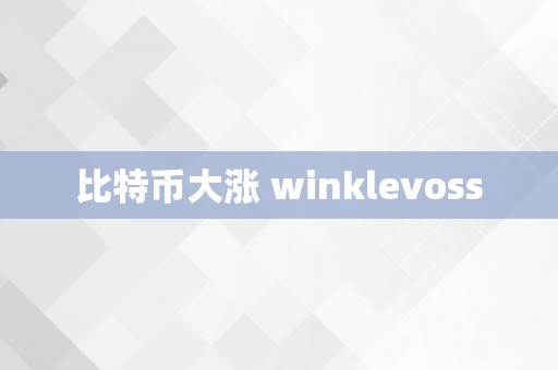 比特币大涨 winklevoss