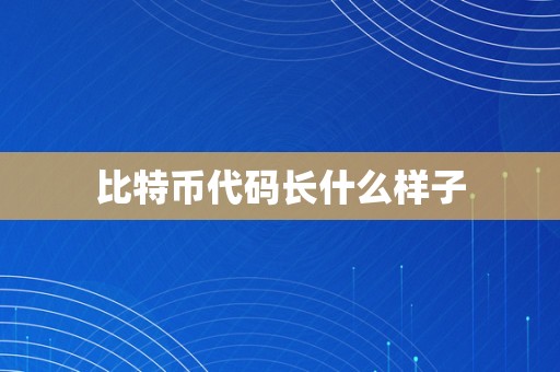 比特币代码长什么样子