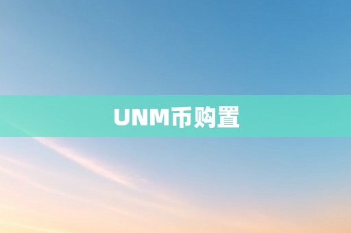 UNM币购置