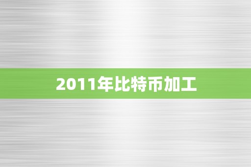 2011年比特币加工