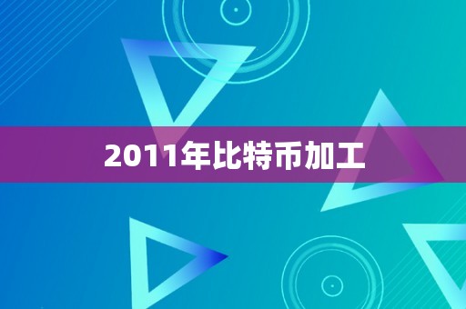 2011年比特币加工