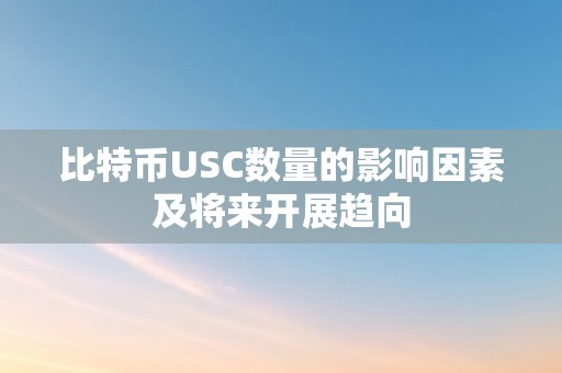 比特币USC数量的影响因素及将来开展趋向