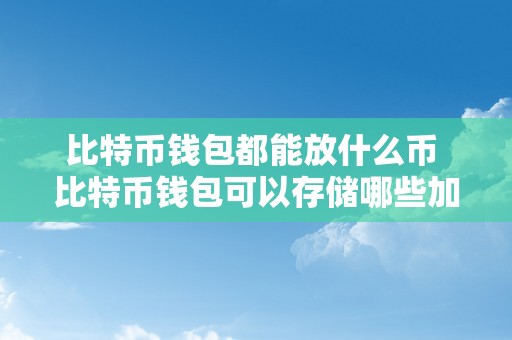 比特币钱包都能放什么币 比特币钱包可以存储哪些加密货币？详细解析比特币钱包的多样性和功用 