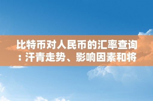 比特币对人民币的汇率查询: 汗青走势、影响因素和将来瞻望