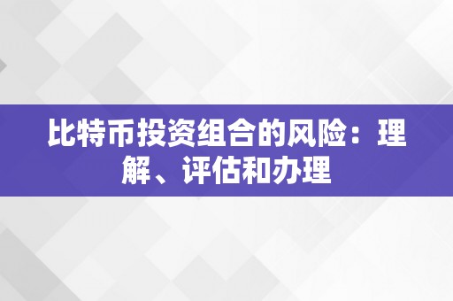 比特币投资组合的风险：理解、评估和办理