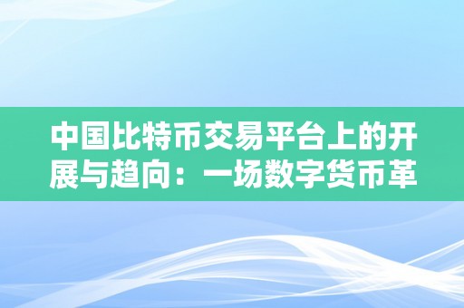 中国比特币交易平台上的开展与趋向：一场数字货币革命的摸索