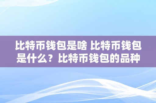 比特币钱包是啥 比特币钱包是什么？比特币钱包的品种和功用 