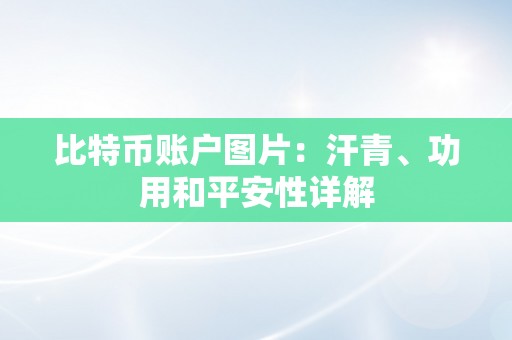 比特币账户图片：汗青、功用和平安性详解