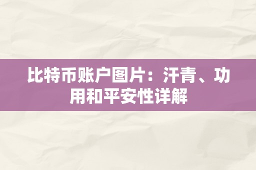 比特币账户图片：汗青、功用和平安性详解