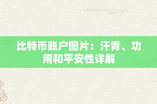 比特币账户图片：汗青、功用和平安性详解