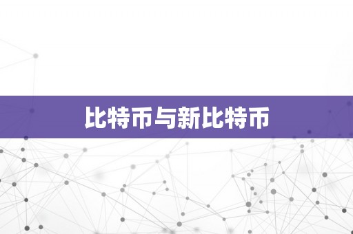 比特币与新比特币