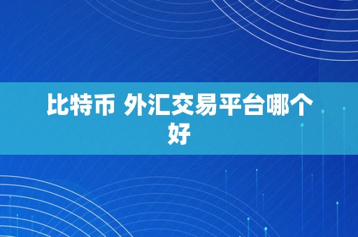 比特币 外汇交易平台哪个好