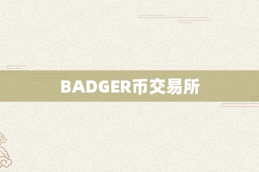 BADGER币交易所