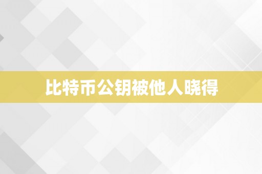 比特币公钥被他人晓得