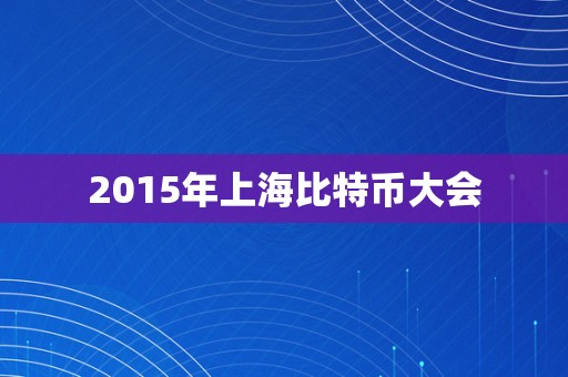 2015年上海比特币大会