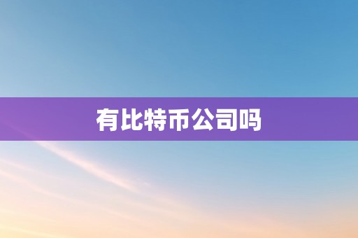 有比特币公司吗