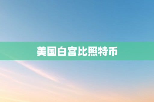 美国白宫比照特币