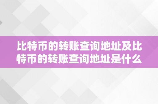 比特币的转账查询地址及比特币的转账查询地址是什么