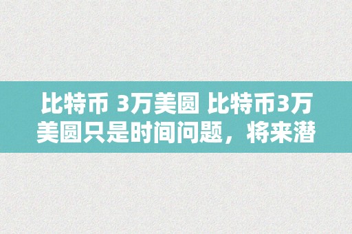 比特币 3万美圆 比特币3万美圆只是时间问题，将来潜力庞大 比特币3万美圆只是时间问题