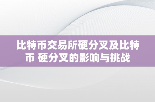 比特币交易所硬分叉及比特币 硬分叉的影响与挑战