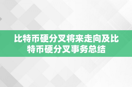 比特币硬分叉将来走向及比特币硬分叉事务总结