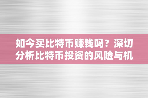 如今买比特币赚钱吗？深切分析比特币投资的风险与机遇