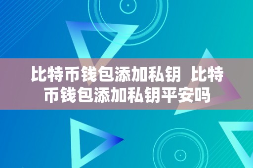 比特币钱包添加私钥  比特币钱包添加私钥平安吗