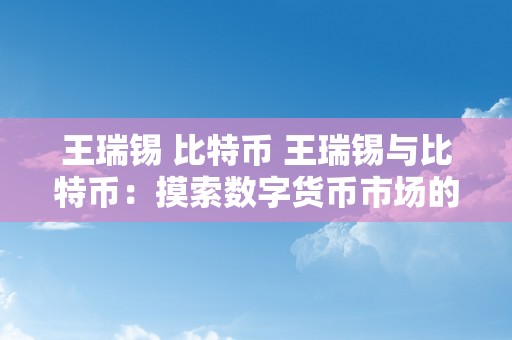 王瑞锡 比特币 王瑞锡与比特币：摸索数字货币市场的将来开展 