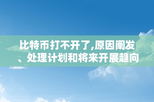 比特币打不开了,原因阐发、处理计划和将来开展趋向