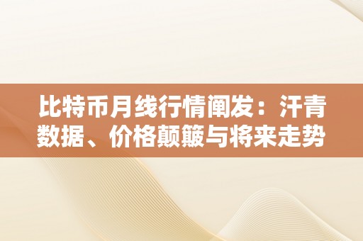 比特币月线行情阐发：汗青数据、价格颠簸与将来走势预测