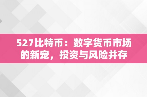 527比特币：数字货币市场的新宠，投资与风险并存