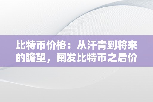 比特币价格：从汗青到将来的瞻望，阐发比特币之后价格的趋向和影响因素