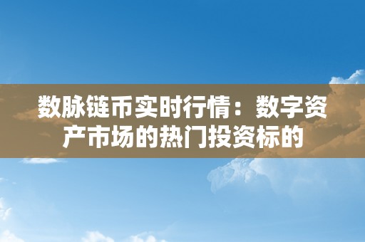 数脉链币实时行情：数字资产市场的热门投资标的