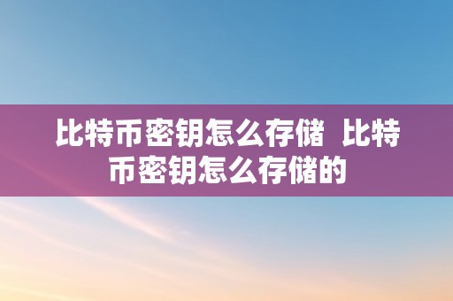 比特币密钥怎么存储  比特币密钥怎么存储的