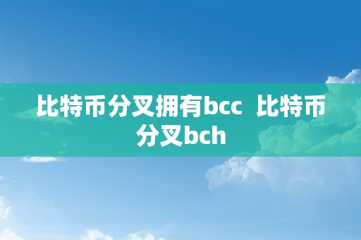 比特币分叉拥有bcc  比特币分叉bch