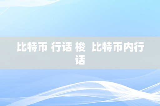 比特币 行话 梭  比特币内行话