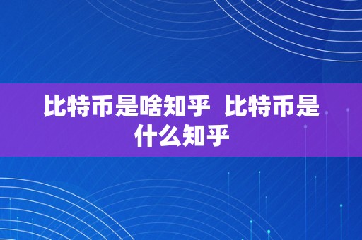 比特币是啥知乎  比特币是什么知乎