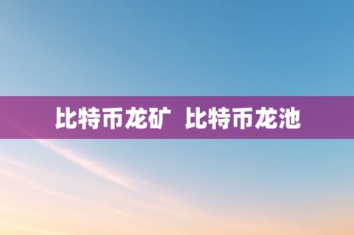 比特币龙矿  比特币龙池